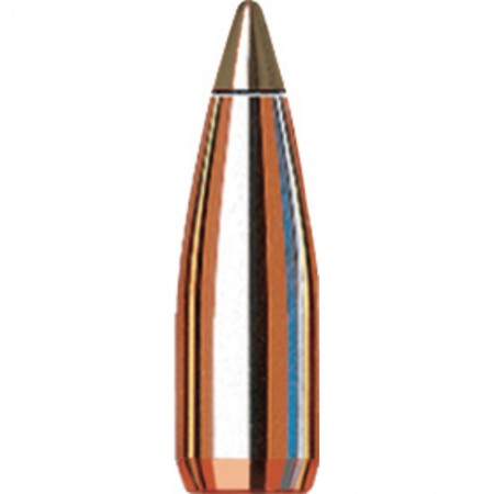 Hornady .20cal .204 24GR NTX